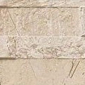 Oz Beige Tile 15x61cm