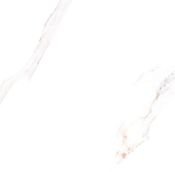 Close up of Anna Gloss floor and walls tiles