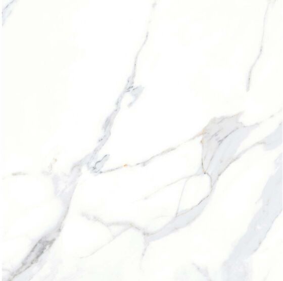Close up of Anna Gloss wall and floor tile